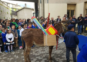 Oltre 600 alunni degli Istituti Comprensivi di San Giovanni in Fiore alla IV^ edizione di “Bibbliattivi-Olimpiadi del libro 2019”